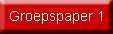 Groepspaper 1