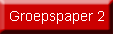 Groepspaper 2